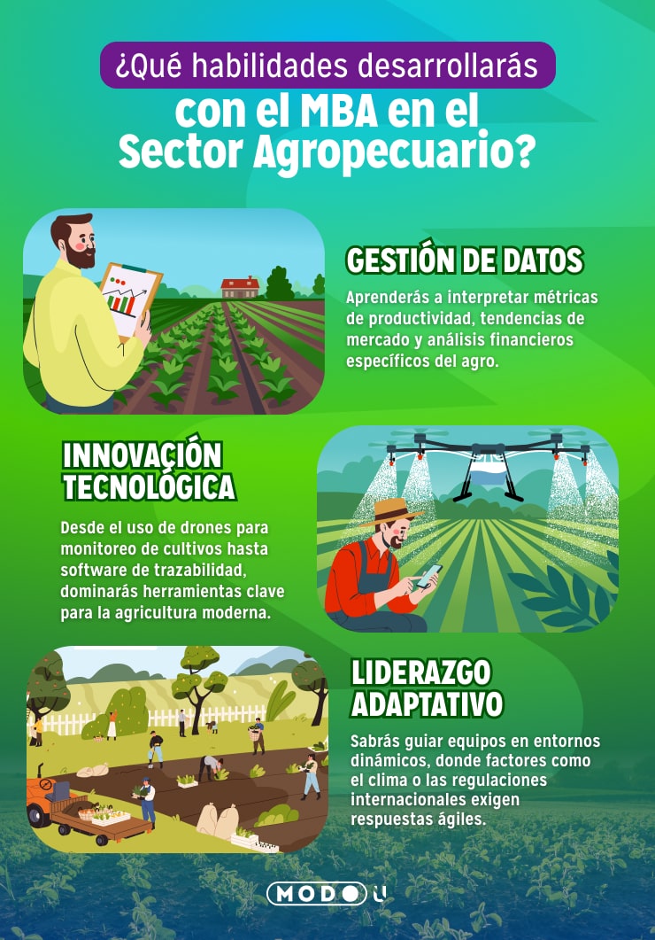 maestría en administración