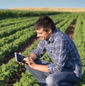 Maestría en Administración de Empresas con énfasis en Gerencias de Empresas Agropecuarias