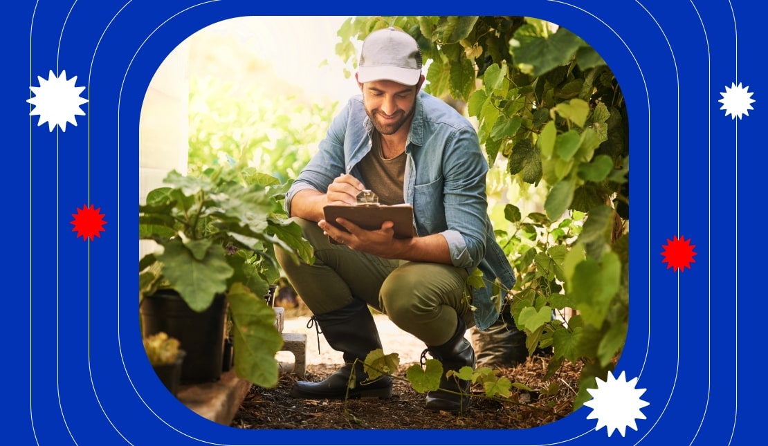 gerencia de empresas agropecuarias
