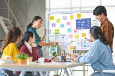 administracion empresas enfasis proyectos opt4