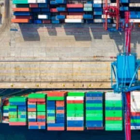 tecnico logistica scard opt